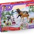 Calendrier de l'Avent Horse Club 2 SC99092 Schleich 5