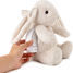 Peluche veilleuse musicale Billy le Lapin Cloudb-7703-BB Cloud b 3