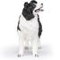 Figurine Border Collie PA-54008 Papo 2