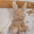 Boite à musique lapin Baby Bunny LD8856 Little Dutch 3