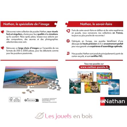 Puzzle Les monuments de Paris 1000 pcs NA008903 Nathan 4