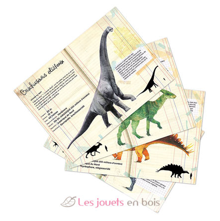 Coffret de 21 magnets dinosaures V9624 Vilac 3