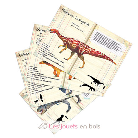 Coffret de 21 magnets dinosaures V9624 Vilac 4