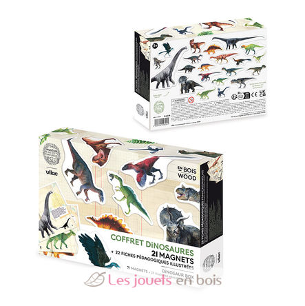 Coffret de 21 magnets dinosaures V9624 Vilac 5