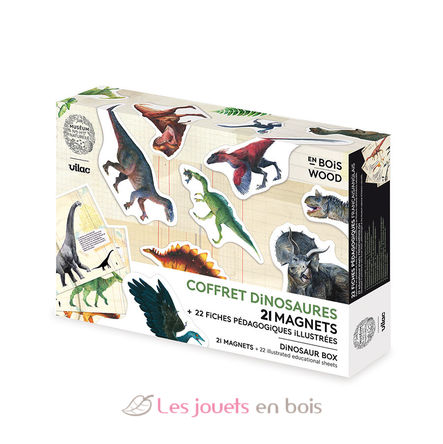 Coffret de 21 magnets dinosaures V9624 Vilac 1