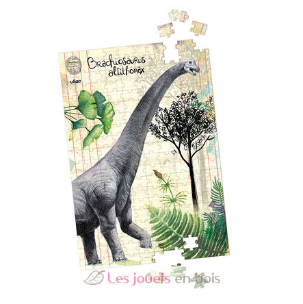 Coffret 3 puzzles dinosaures et posters V9626 Vilac 4