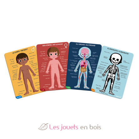 Le panneau à thème - corps humain - - Jouets éducatifs pour enfants - BiiBop