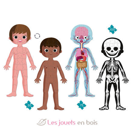 Puzzle en bois du corps humain pour les enfants, Ensemble de jeux  d'anatomie humaine éducatif précoce, Puzzles de bébé cognition corporelle  Enfants Apprentissage précoce Éducatif