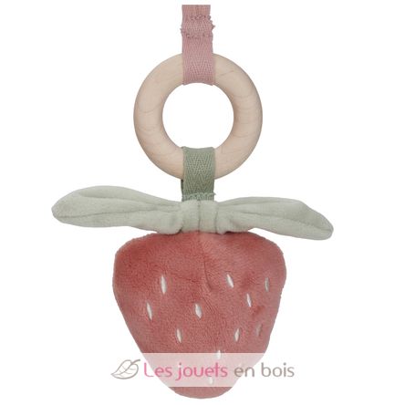 Arche d’éveil en bois Fairy Garden LD9010 Little Dutch 3