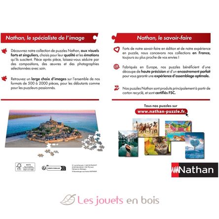 Puzzle Tour Eiffel en automne 1000 pcs NA009153 Nathan 4