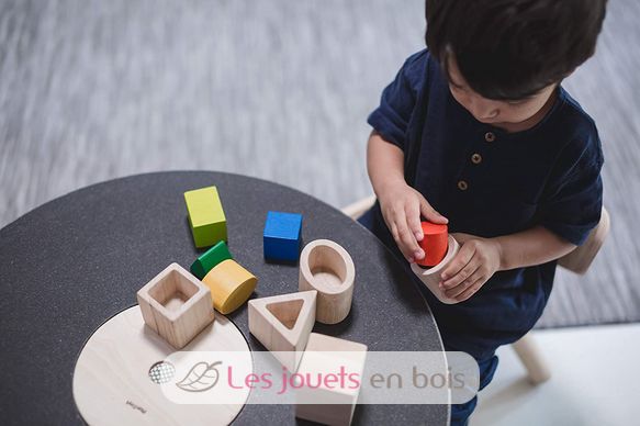 https://www.lesjouetsenbois.com/files/thumbs/catalog/products/images/product-watermark-583/plantoys-jouet-en-bois-pt5391-jouet-bois-ecoresponsable-montessori.jpg