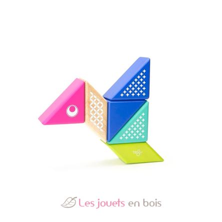 6 blocs en bois magnétiques - Colibri TG-PAL-HUM-706T Tegu 1