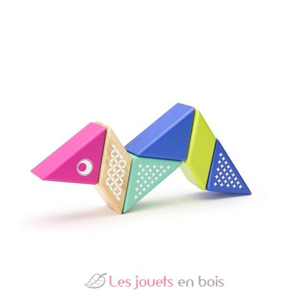 6 blocs en bois magnétiques - Colibri TG-PAL-HUM-706T Tegu 2